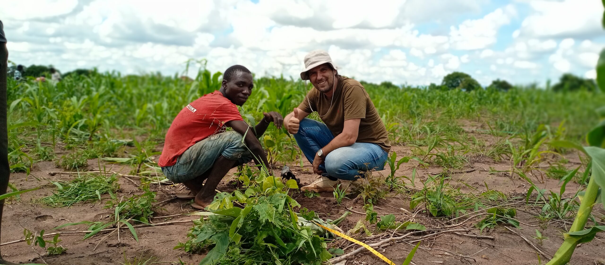 Mozambico | Si riparte dall'agricoltura - Celim